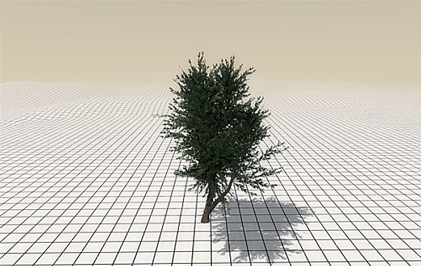 afghan vegetation 24 tree 3d max - 24 Afghan Vegetation Models by pure3dviz